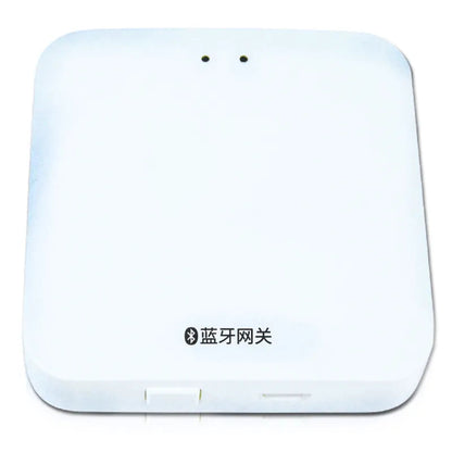 Garden Irrigation Bluetooth Graffiti APP Sprinkler Timer Watering Device WEM Support (www.WEM.support)