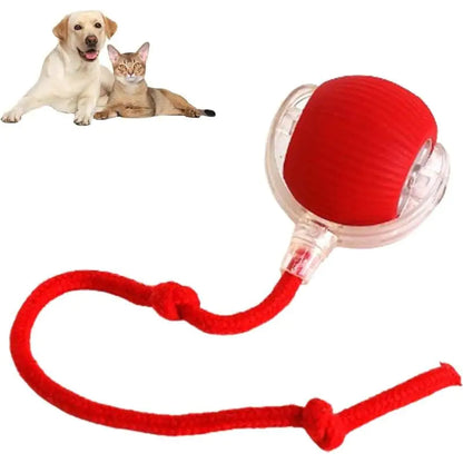 360 Smart Automatic Rolling Pet Ball WEM Support (www.WEM.support)