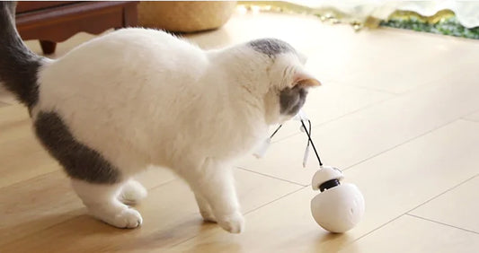 A white robotic cat toy with a laser feature, interacting with a cat that is reaching out to it.