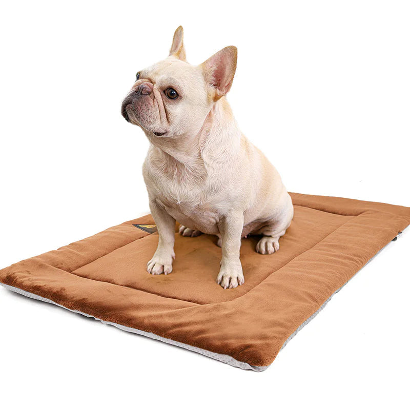 Self-Heating Pet Bed WEM Support (www.WEM.support)