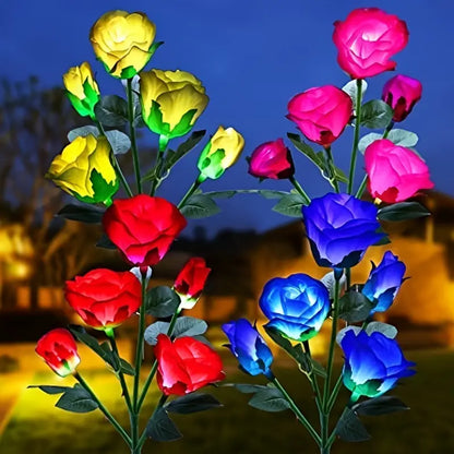 Rosas Solares de Jardim que Mudam de Cor