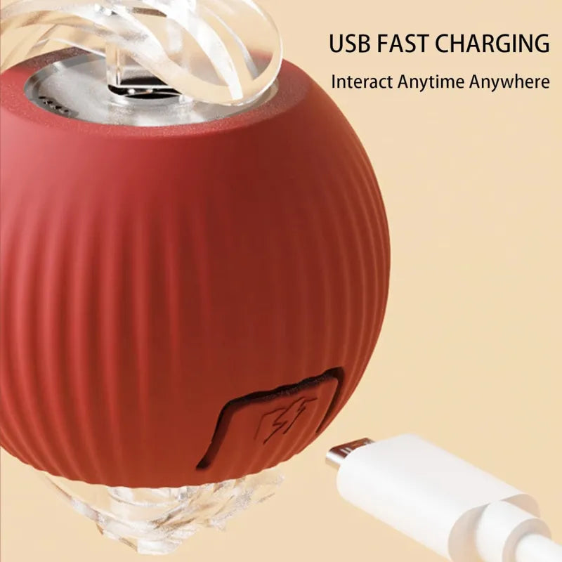 360 Smart Automatic Rolling Pet Ball WEM Support (www.WEM.support)