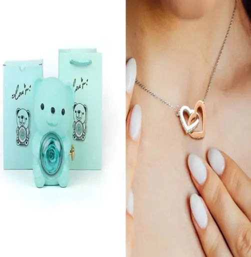 Rose Teddy Bear with Ring and Necklace WEM Support (www.WEM.support)