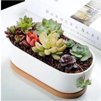 Succulent Planter -Elongated HejK.com