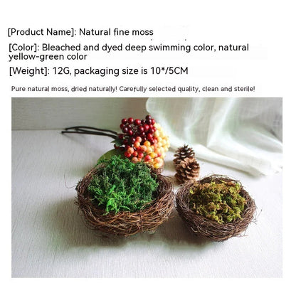 Simulated Moss Landscape Decor WEM Support (www.WEM.support)