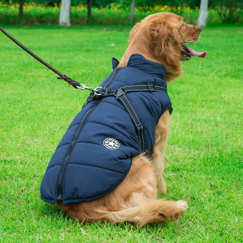 Dog Cotton Winter Vest WEM Support (www.WEM.support)