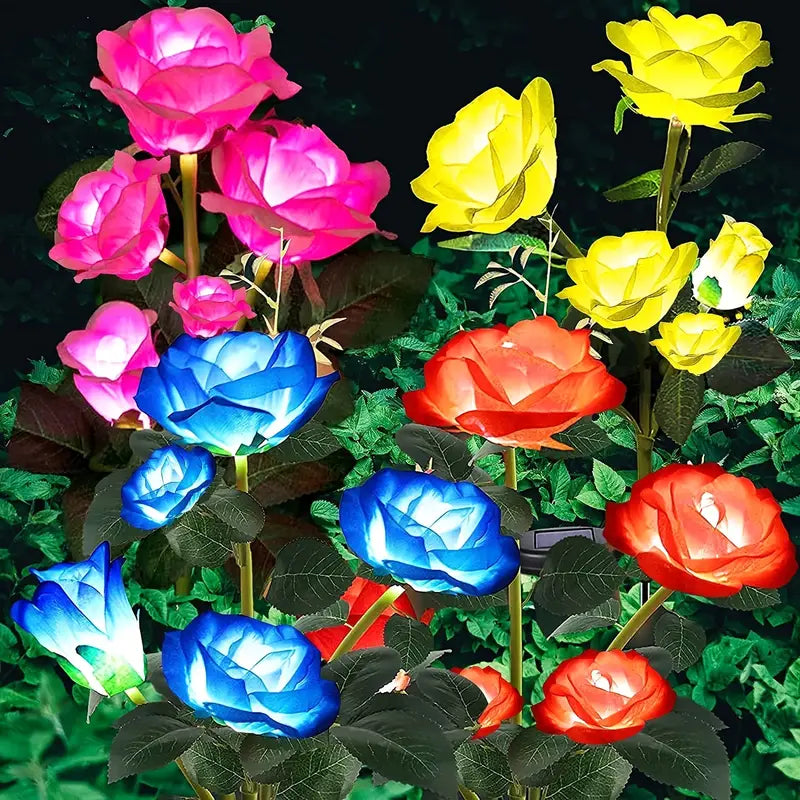 Rosas Solares de Jardim que Mudam de Cor