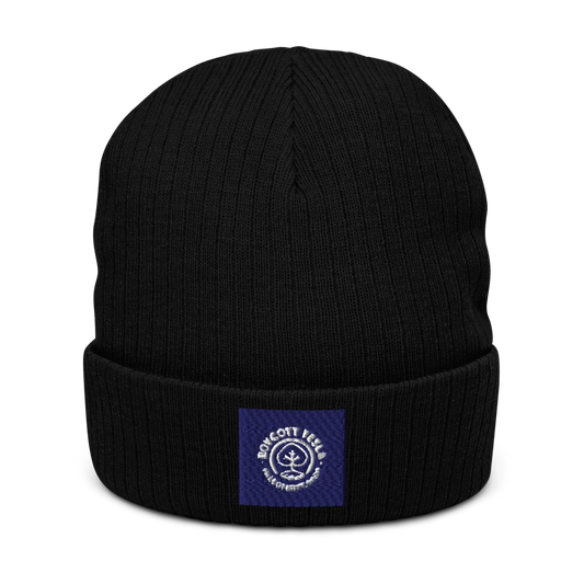 Atlantis Ribbed Beanie HejK.com Marketplace LLC