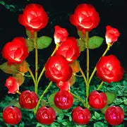 Rosas Solares de Jardim que Mudam de Cor