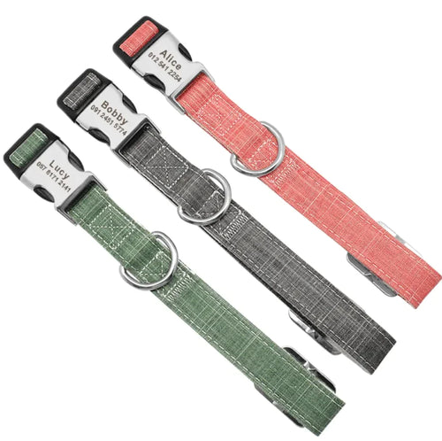 Three dog collars in red, blue, and green, with metal buckles and engraved personalized text on tags.