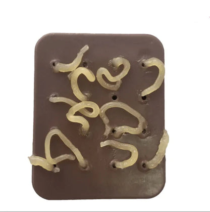 Pimple Popping Toy WEM Support (www.WEM.support)