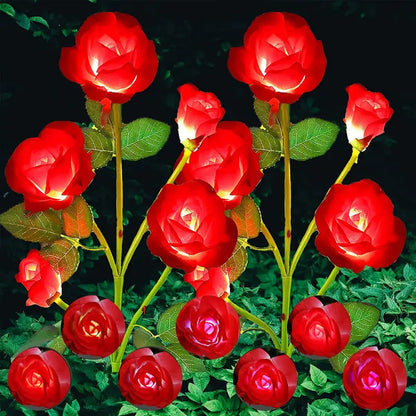 Rosas Solares de Jardim que Mudam de Cor