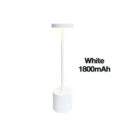 Adjustable Brightness LED Lamp
