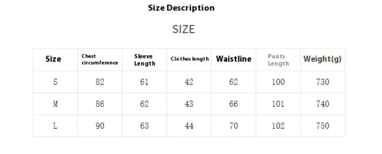 Slim Fit Casual Hoodie & Pants Suit WEM Support (www.WEM.support)