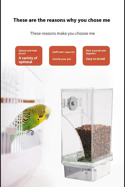 Automatic Plug-in Bird Feeder HejK.com