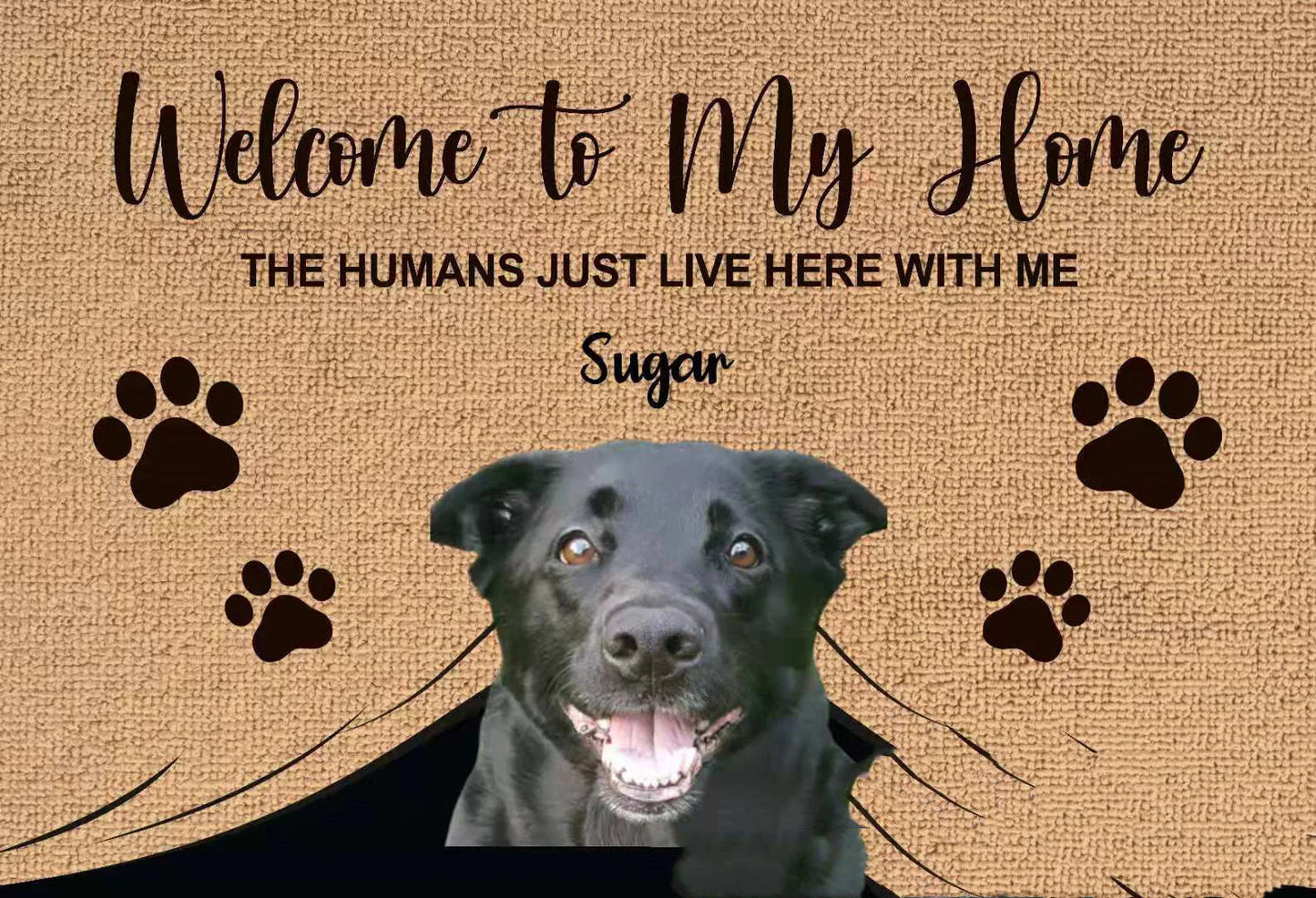 Cartoon Pet Non-Slip Bath Mat WEM Support (www.WEM.support)