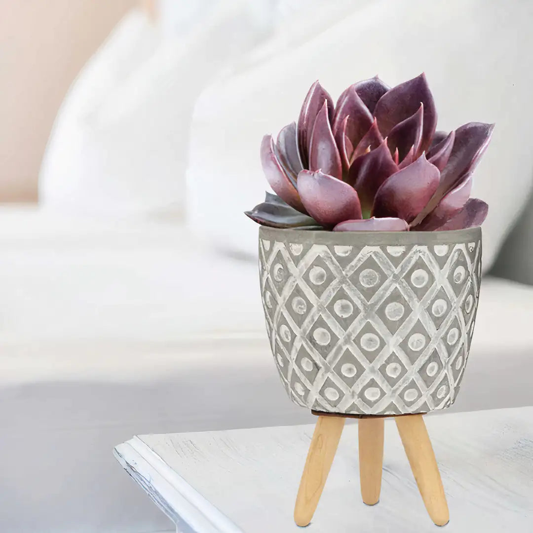 Aztec Planters Set of 2 WEM Support (www.WEM.support)