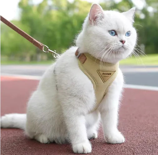 Small Dog Anti-Breaking Harness & Leash HejK.com Marketplace LLC