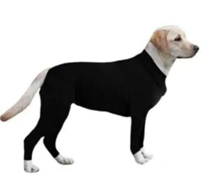 Three dogs wearing pet jumpsuits in different colors (black, pink, and blue) on a staircase.