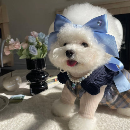A small white dog wearing a blue bow headdress with a pearl-like collar.