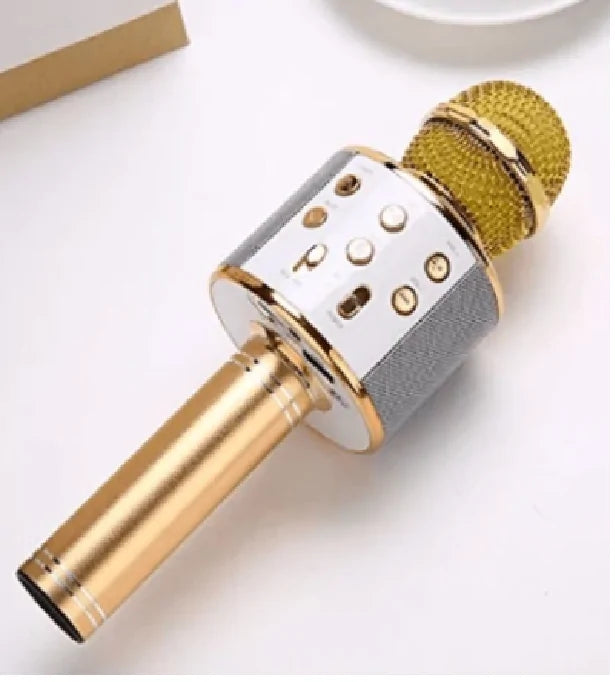 Microfone do Artista e Caixa de Música WEM Support (www.WEM.support)