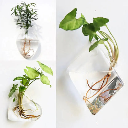 Wall Hanging Glass Vase Made from high-quality, durable glass, this vase is perfect for displaying your favorite flowers, plants, or decorative accents. My Store