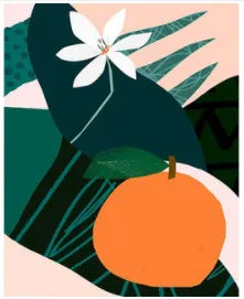 Plants Painting By Numbers HejK.com Marketplace LLC