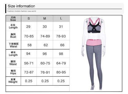 Ellipse Fit Workout 2er Set WEM Support (www.WEM.support)