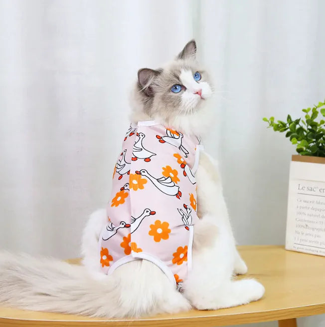 Spay & Neuter Recovery Wear HejK.com