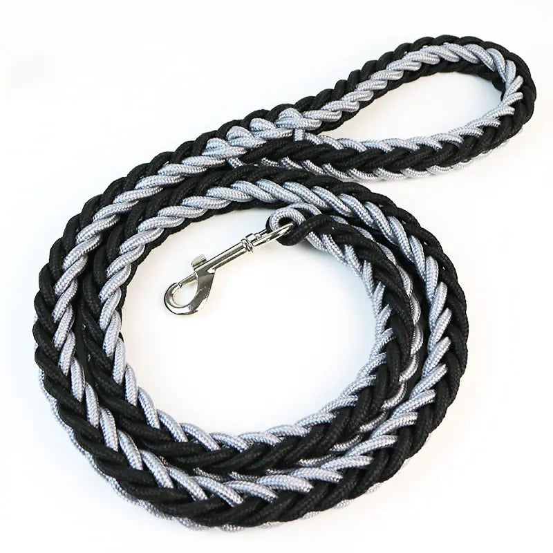 Eight-Strand Adventure Dog Leash HejK.com Marketplace LLC