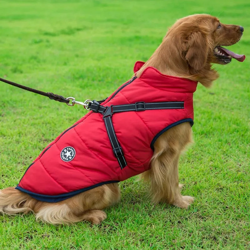 Dog Cotton Winter Vest WEM Support (www.WEM.support)
