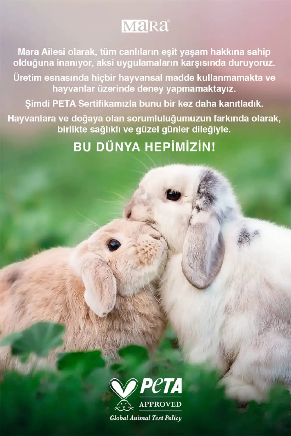 Wemara Guardian Angel Set (Body Mist+Body Cream) WEM Support (www.WEM.support)