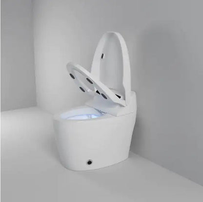 Smart Toilet With Built-in Bidet WEM Support (www.WEM.support)