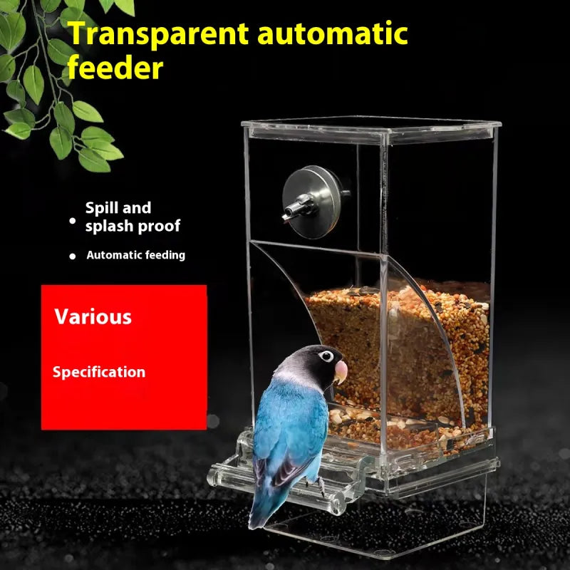 Automatic Plug-in Bird Feeder HejK.com
