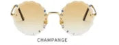 Vintage Round Sunglasses WEM Support (www.WEM.support)