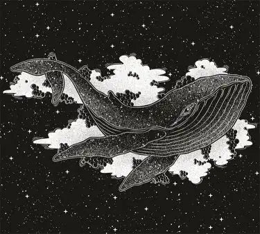 TAP -- Wall Covering Fabric WEM Support (www.WEM.support)