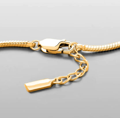 Octagonal Snake Bone Stainless Steel Bracelet HejK.com