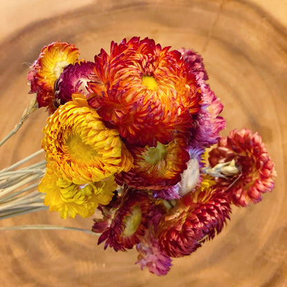 Captured Beauty Dried Flower Bunch WEM Support (www.WEM.support)