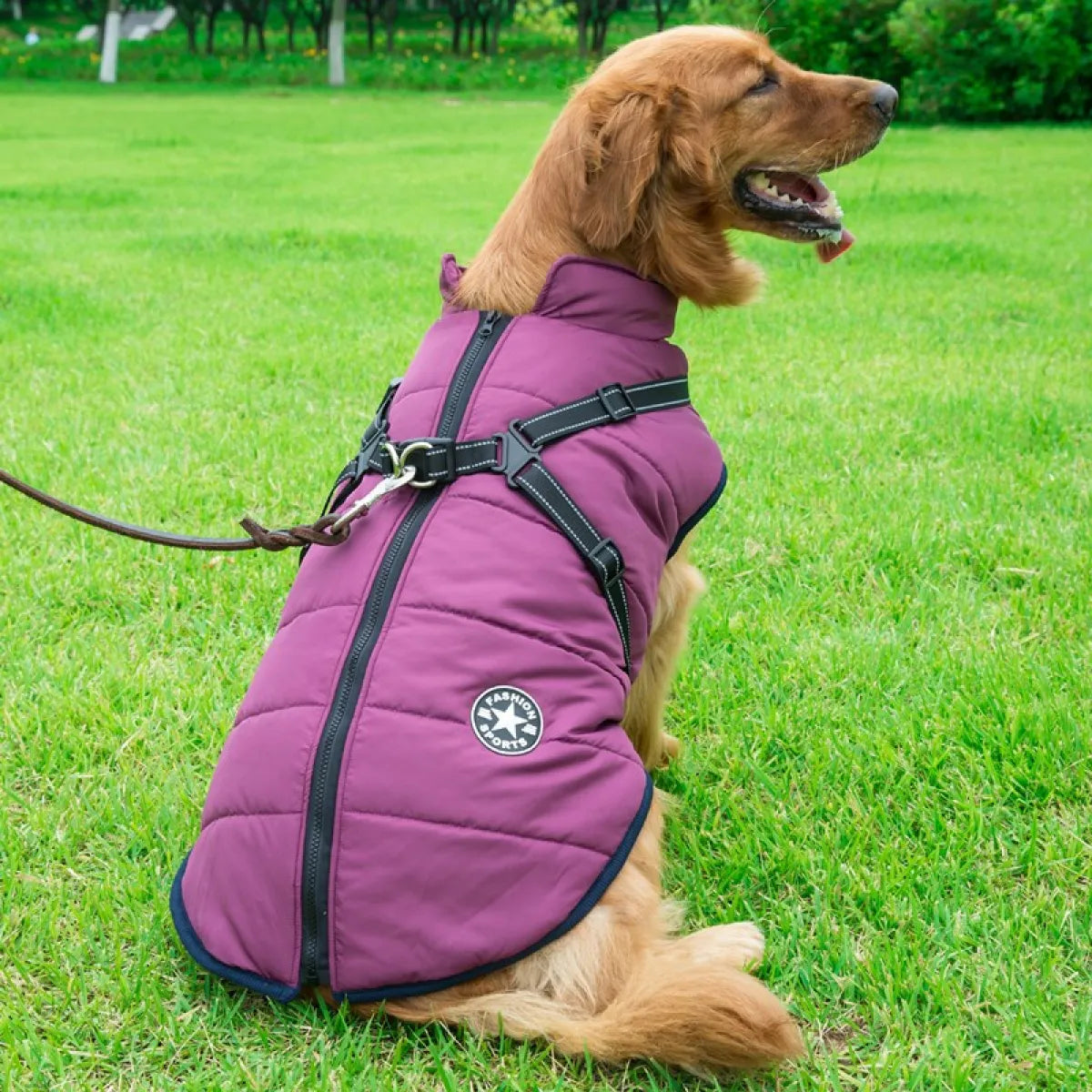 Dog Cotton Winter Vest WEM Support (www.WEM.support)