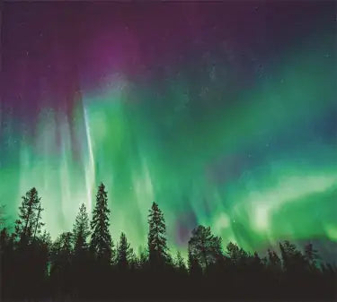 TAP -- Wall Covering Fabric WEM Support (www.WEM.support)