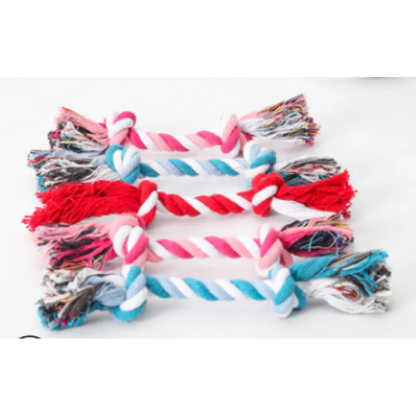 Pet dog bites rope toy