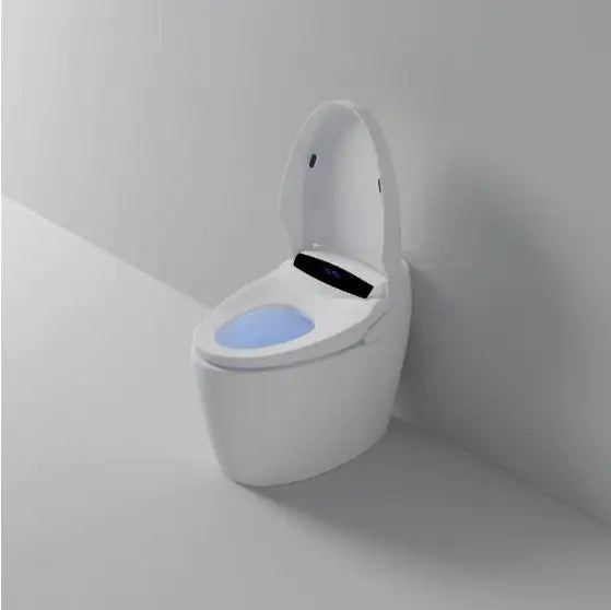 Smart Toilet With Built-in Bidet WEM Support (www.WEM.support)