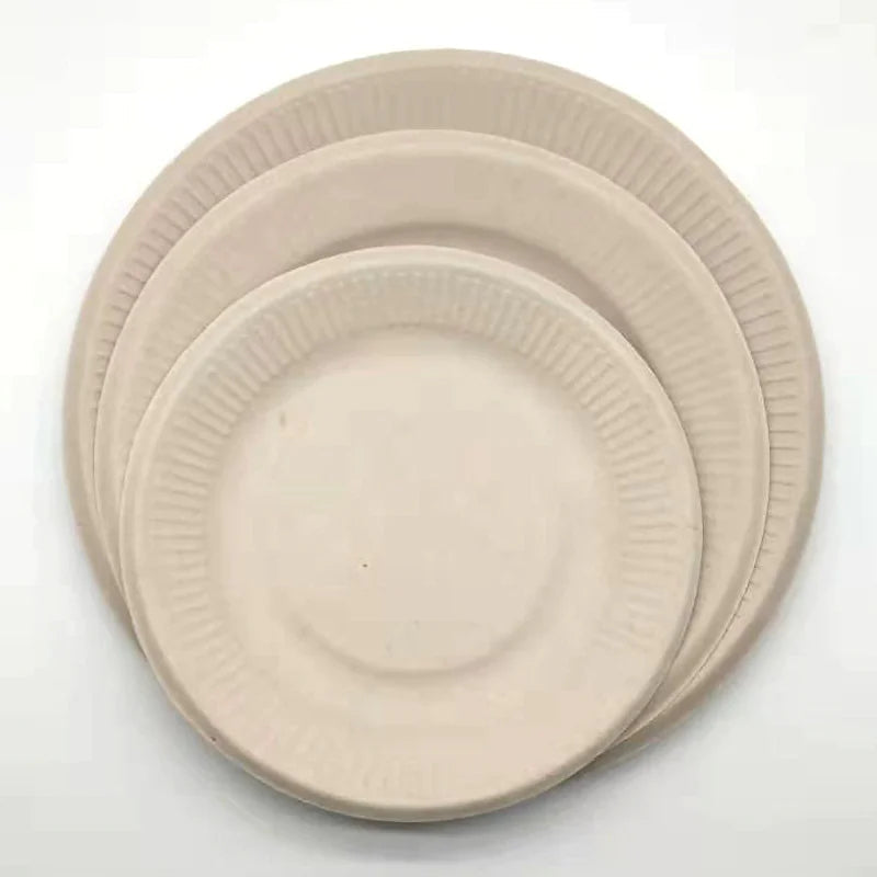 Eco Elegant Disposable Plates HejK.com Marketplace LLC