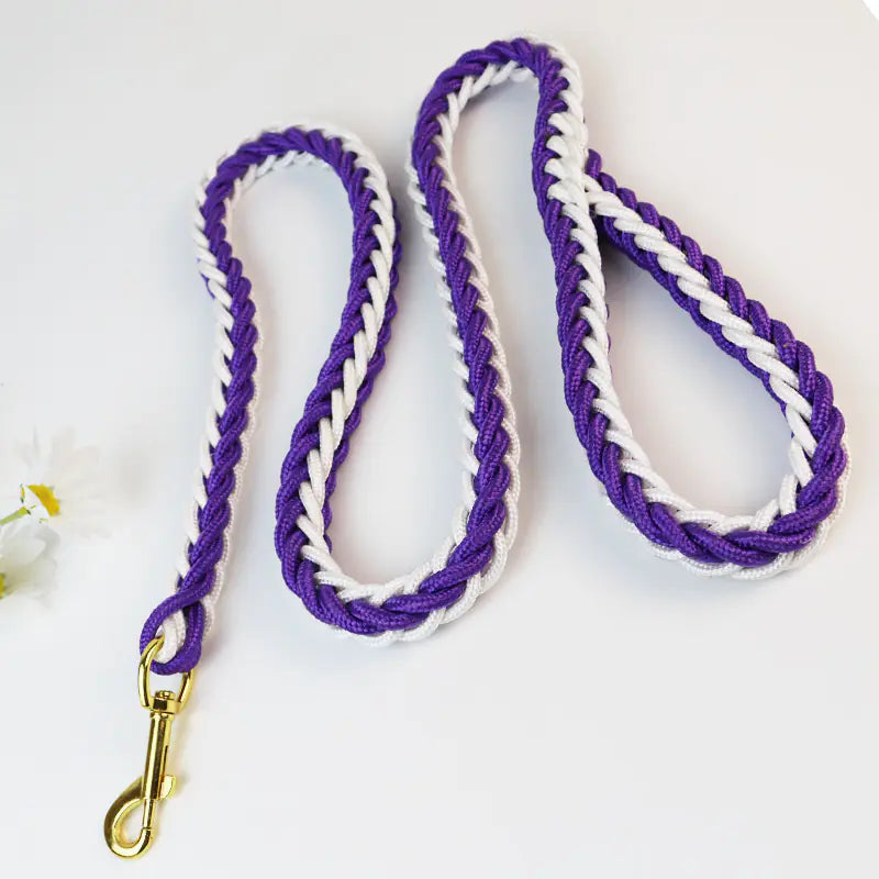 Eight-Strand Adventure Dog Leash HejK.com Marketplace LLC