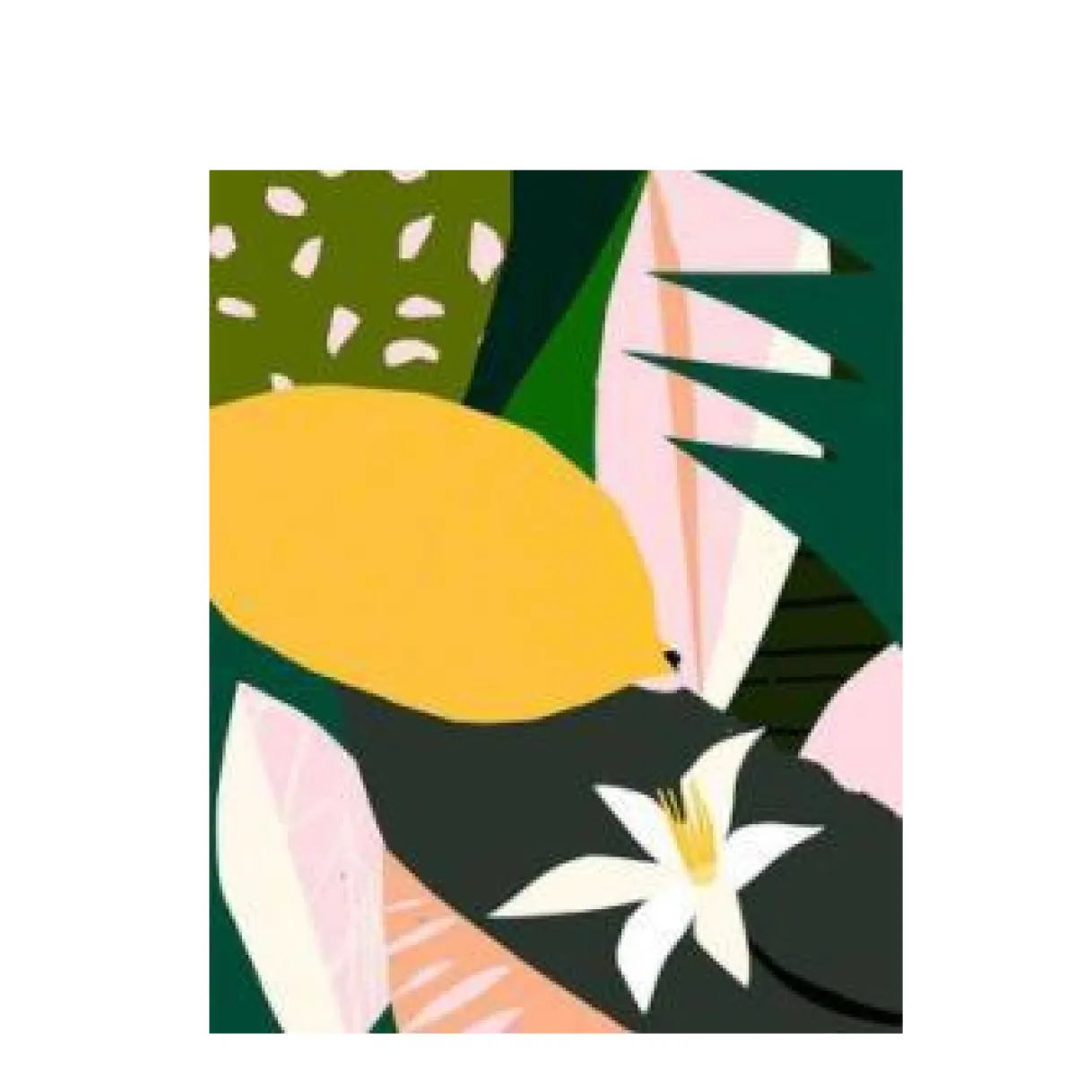 Plants Painting By Numbers HejK.com Marketplace LLC