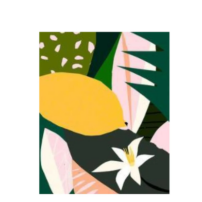 Plants Painting By Numbers HejK.com Marketplace LLC