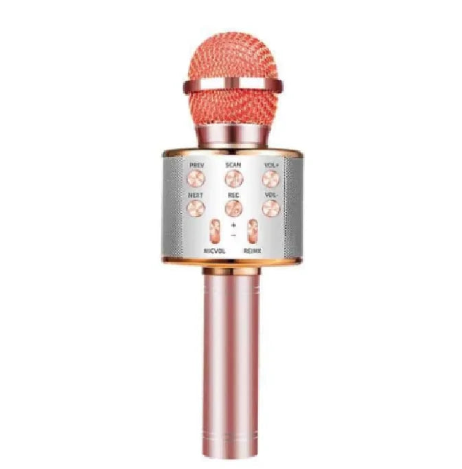 Microfone do Artista e Caixa de Música WEM Support (www.WEM.support)