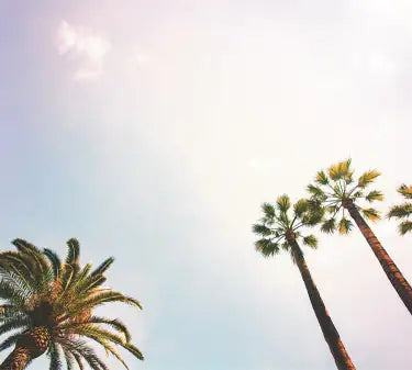 TAP -- Wall Covering Fabric WEM Support (www.WEM.support)