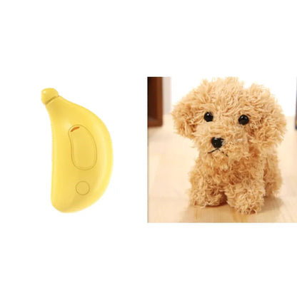 3-in-1 Pet Steam Brush WEM Support (www.WEM.support)