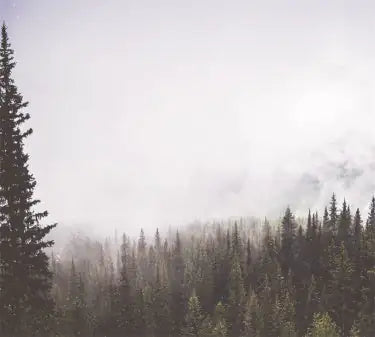 TAP -- Wall Covering Fabric WEM Support (www.WEM.support)